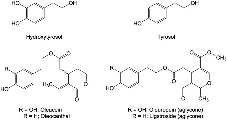 How Exactly do Olive Oil Polyphenols Benefit our Health?