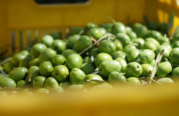 2022 Harvest Launched!
