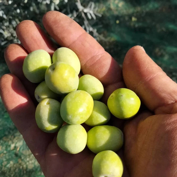 2021 Harvest is On!