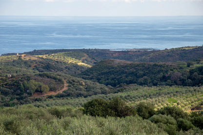8K Blend (Peloponnese)