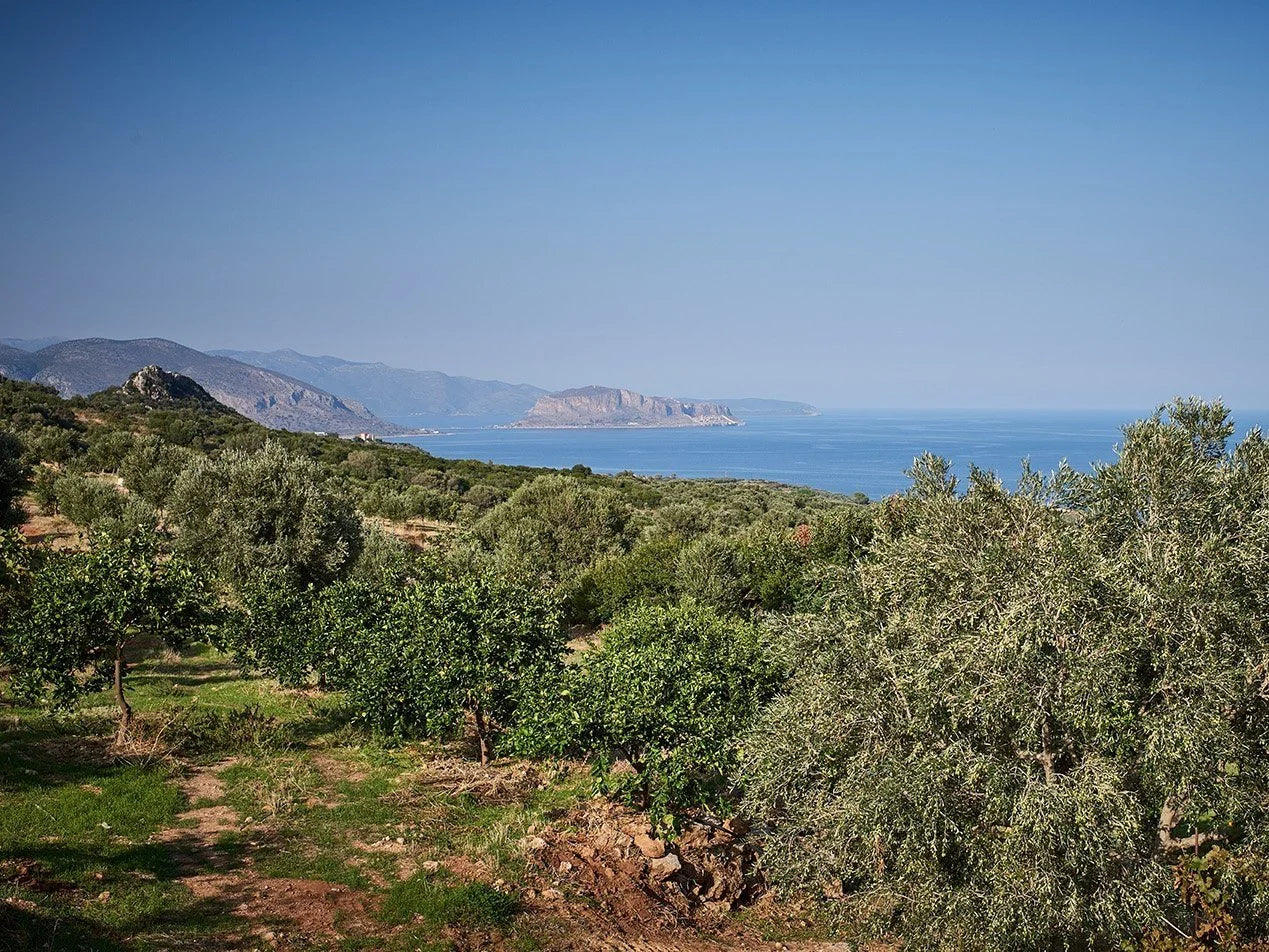 8K - Athinolia (Peloponnese)