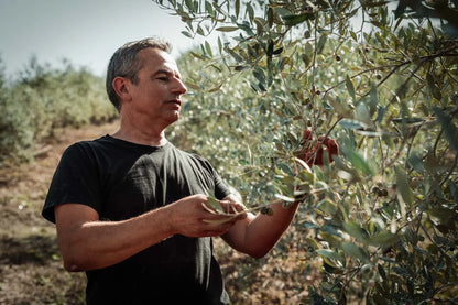Fattoria Ambrosio - Idra (Campania)