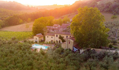 La Ranocchiaia - Monocultivar Correggiolo (Tuscany)